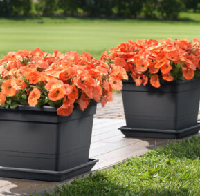 JARDINERAS-MACETAS PLÁSTICO